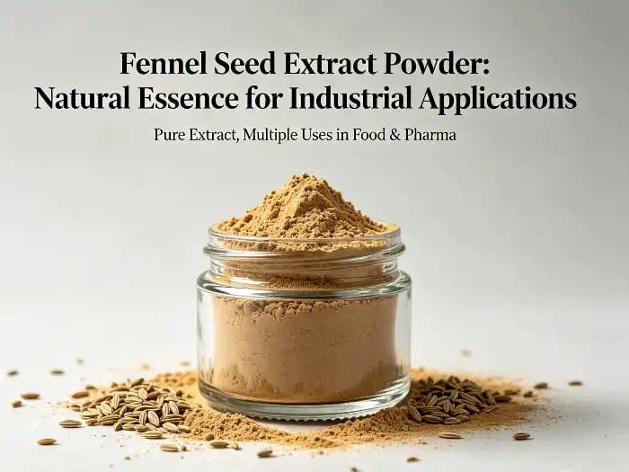Fennel Seed Extract - Benefits, Nutrition, And Weight Loss